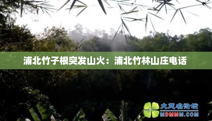 七贵三公 第2页