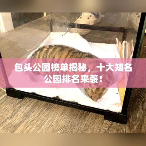 包头公园榜单揭秘，十大知名公园排名来袭！