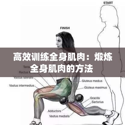 高效训练全身肌肉：煅炼全身肌肉的方法 