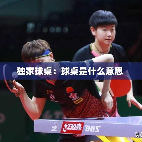 独家球桌：球桌是什么意思 