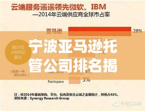 宁波亚马逊托管公司排名揭秘，影响力深度剖析