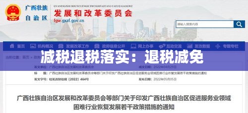 减税退税落实：退税减免 