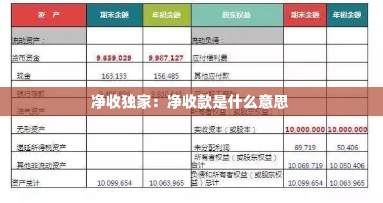 净收独家：净收款是什么意思 