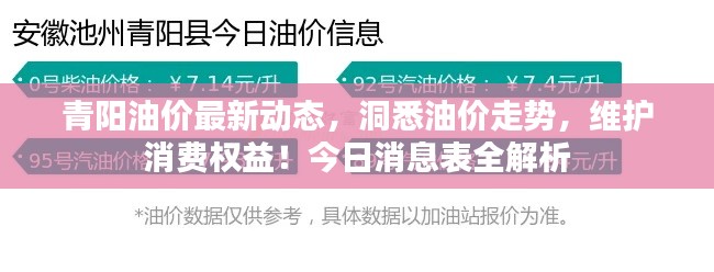 青阳油价最新动态，洞悉油价走势，维护消费权益！今日消息表全解析