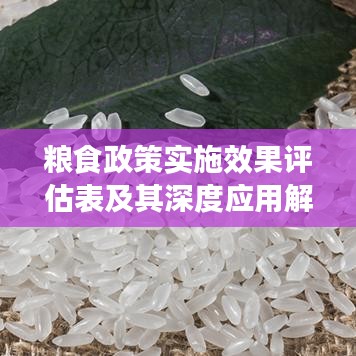 粮食政策实施效果评估表及其深度应用解析