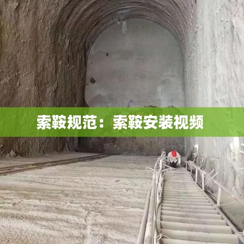 不飞则已 第2页