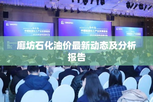 廊坊石化油价最新动态及分析报告