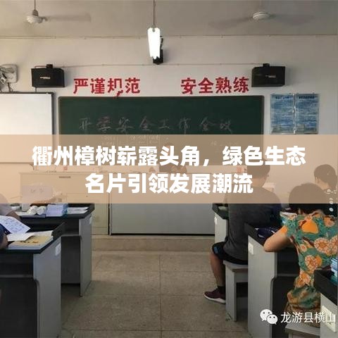 衢州樟树崭露头角，绿色生态名片引领发展潮流