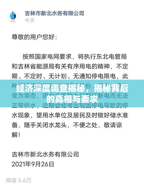 经济深度调查揭秘，揭秘背后的真相与要求