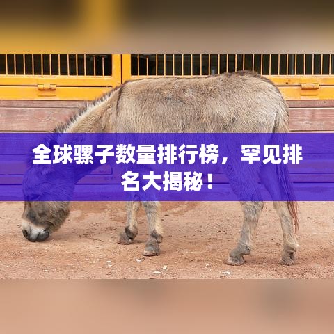 全球骡子数量排行榜，罕见排名大揭秘！