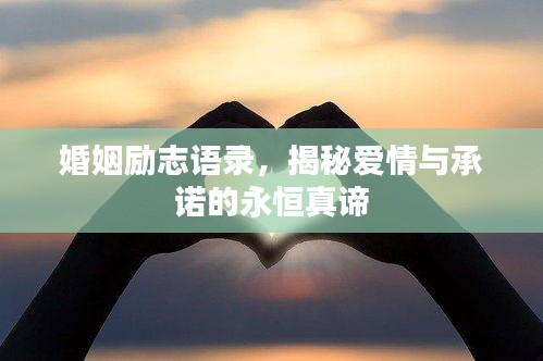 尽心尽力 第2页
