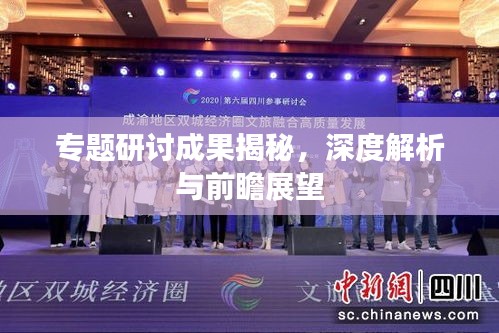 专题研讨成果揭秘，深度解析与前瞻展望