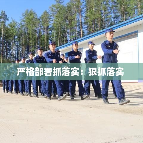 严格部署抓落实：狠抓落实 