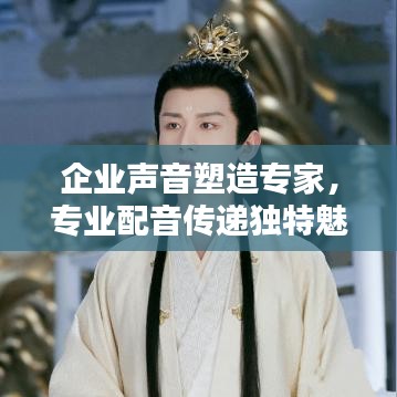 企业声音塑造专家，专业配音传递独特魅力