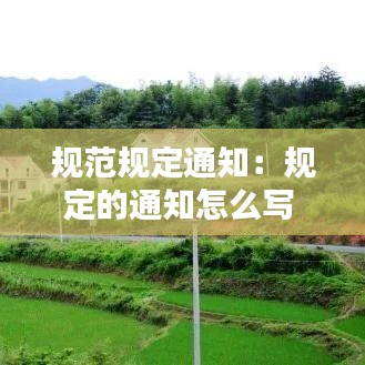 九死一生 第2页