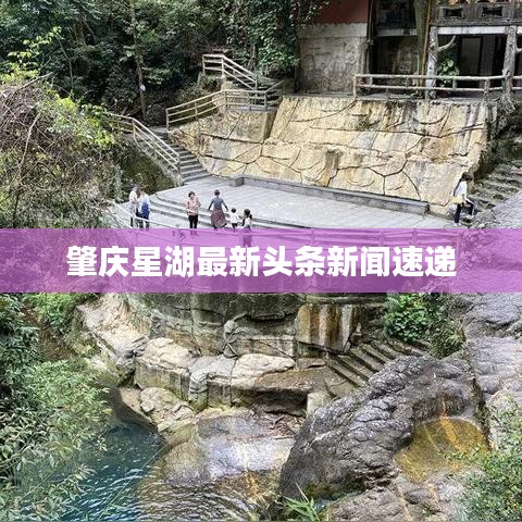 肇庆星湖最新头条新闻速递