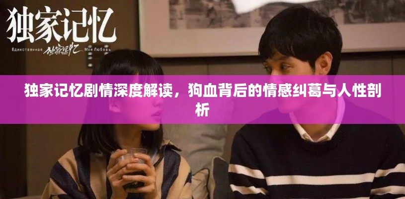独家记忆剧情深度解读，狗血背后的情感纠葛与人性剖析