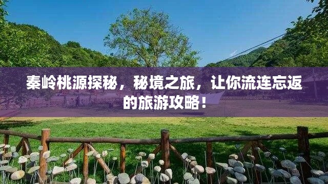 秦岭桃源探秘，秘境之旅，让你流连忘返的旅游攻略！