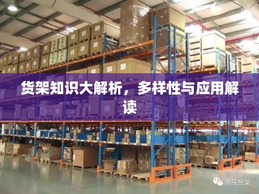 货架知识大解析，多样性与应用解读