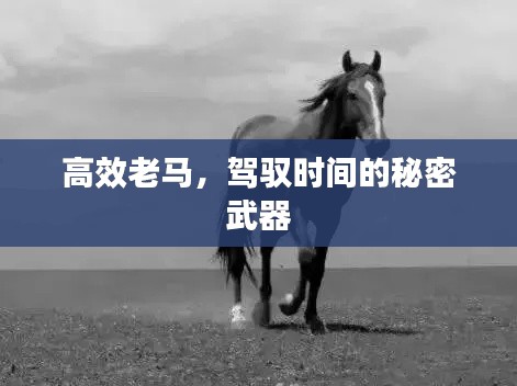 高效老马，驾驭时间的秘密武器