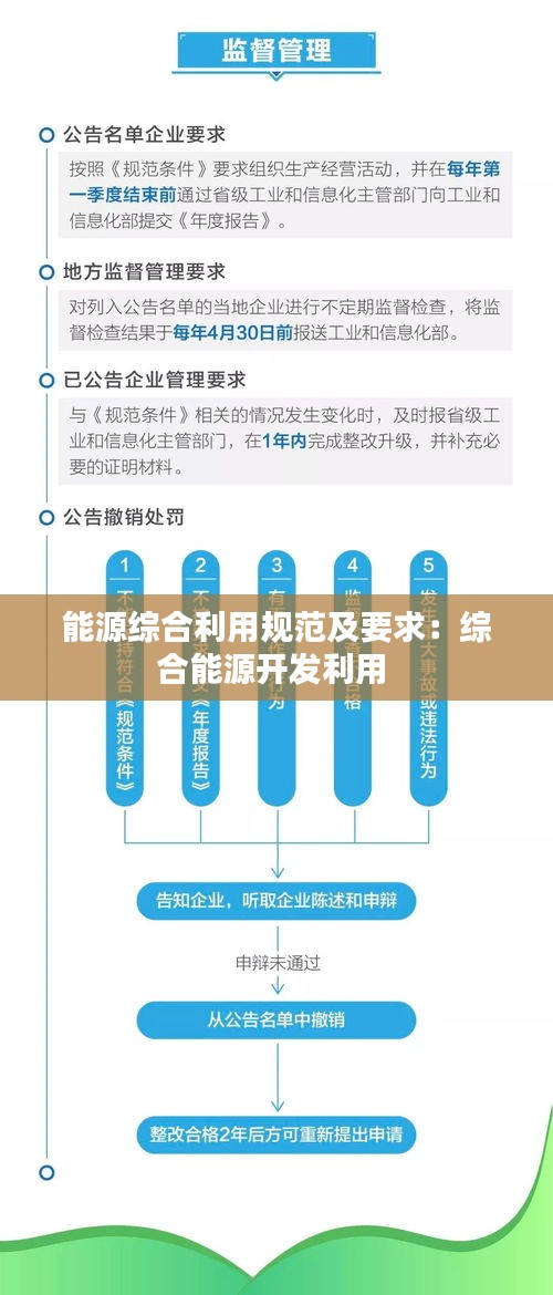 能源综合利用规范及要求：综合能源开发利用 
