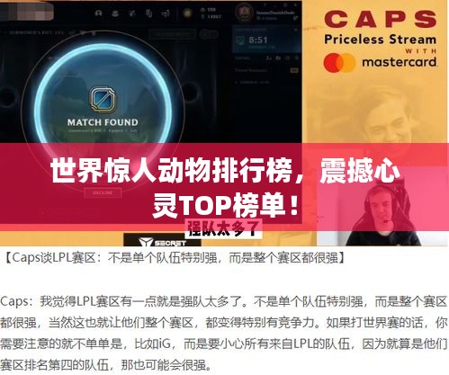世界惊人动物排行榜，震撼心灵TOP榜单！