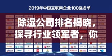 除湿公司排名揭晓，探寻行业领军者，你不可不知的除湿品牌！
