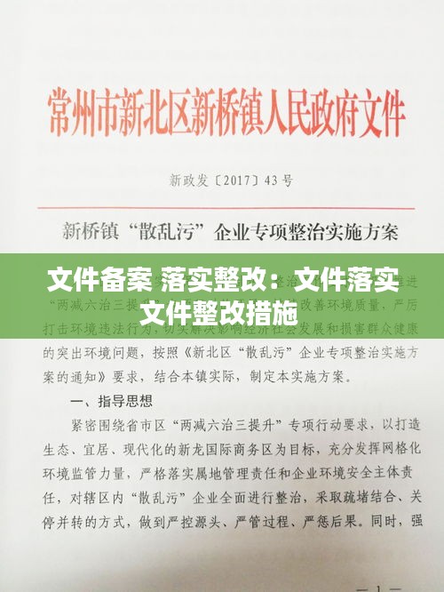 文件备案 落实整改：文件落实文件整改措施 