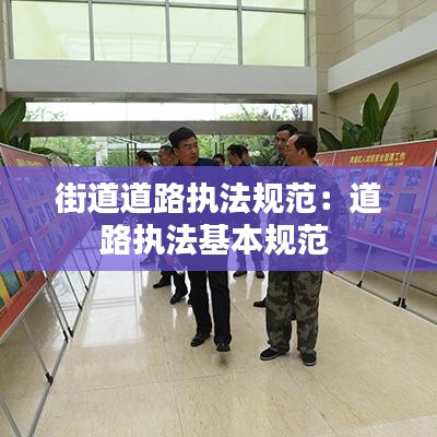 街道道路执法规范：道路执法基本规范 