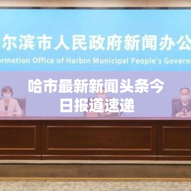 哈市最新新闻头条今日报道速递