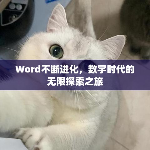 Word不断进化，数字时代的无限探索之旅