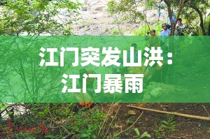 江门突发山洪：江门暴雨 
