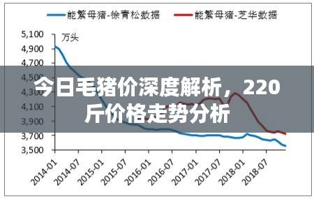 今日毛猪价深度解析，220斤价格走势分析