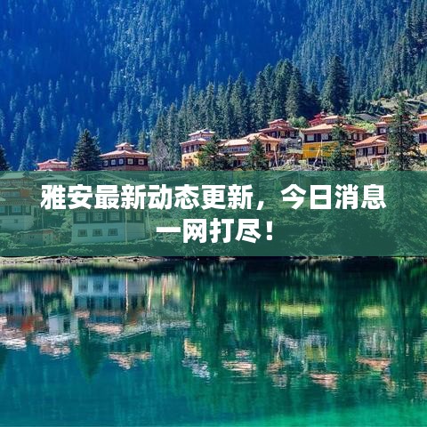 雅安最新动态更新，今日消息一网打尽！