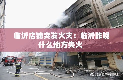 雍容典雅 第2页