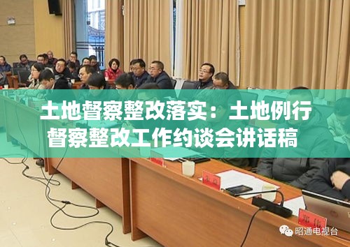 土地督察整改落实：土地例行督察整改工作约谈会讲话稿 