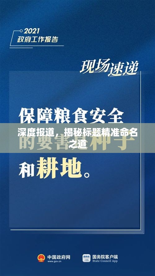 深度报道，揭秘标题精准命名之道
