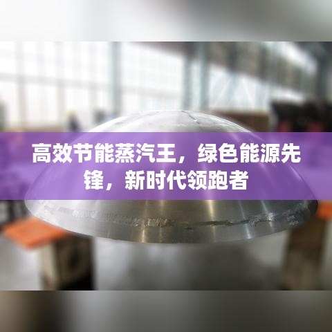 高效节能蒸汽王，绿色能源先锋，新时代领跑者