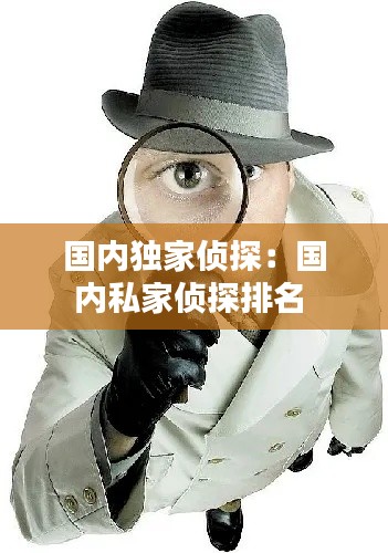 国内独家侦探：国内私家侦探排名 