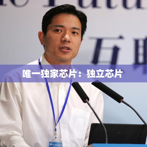 唯一独家芯片：独立芯片 
