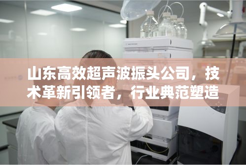 山东高效超声波振头公司，技术革新引领者，行业典范塑造者