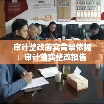 审计整改落实背景依据：审计落实整改报告 