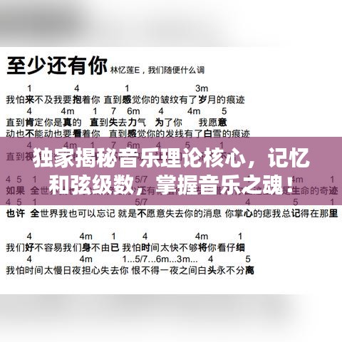 独家揭秘音乐理论核心，记忆和弦级数，掌握音乐之魂！