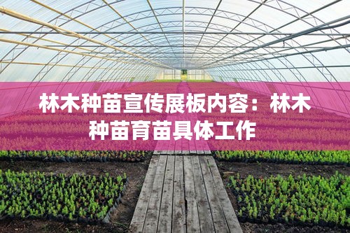 林木种苗宣传展板内容：林木种苗育苗具体工作 