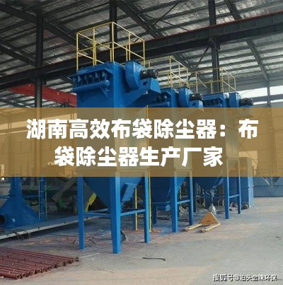 湖南高效布袋除尘器：布袋除尘器生产厂家 