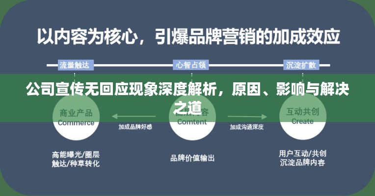 公司宣传无回应现象深度解析，原因、影响与解决之道