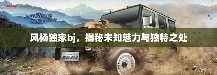风杨独家bj，揭秘未知魅力与独特之处