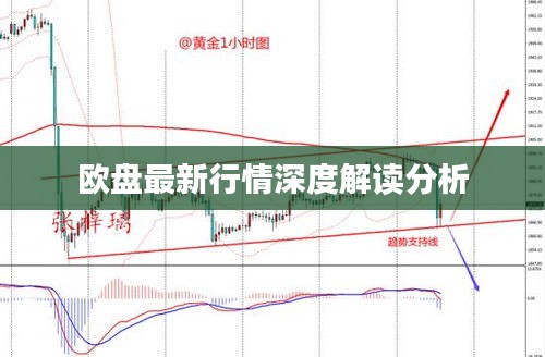 欧盘最新行情深度解读分析