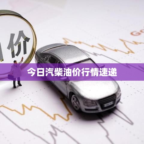 今日汽柴油价行情速递