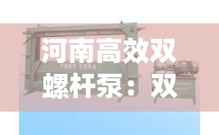 河南高效双螺杆泵：双螺杆泵用途 